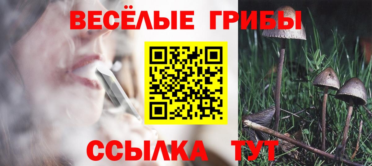 Псилоцибиновые грибы мицелий  Вход с VPN  Дзержинский 